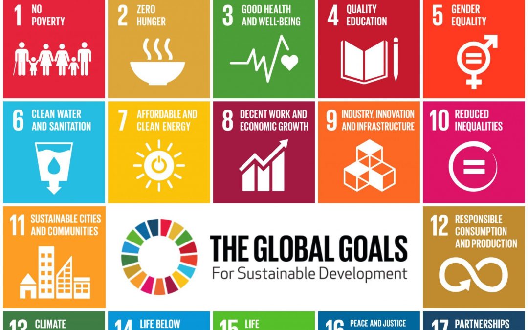 Overview of the Sustainable Development Goals (SDGs)