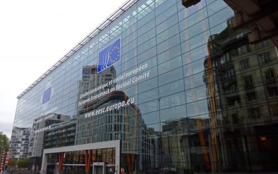 Bericht und Empfehlungen für Europarat